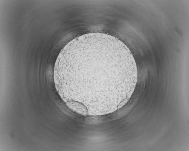 X0000115420238200912151610