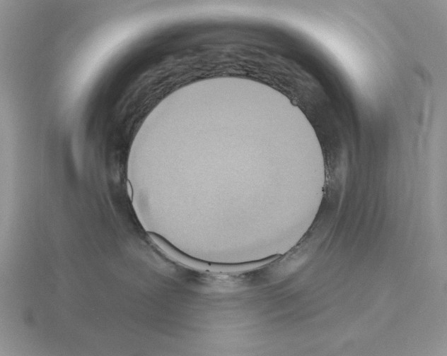 X0000115420239200912151610