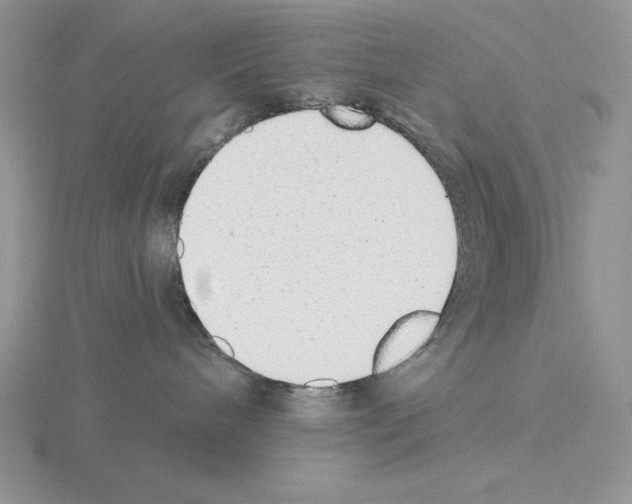 X0000115420240200912151610