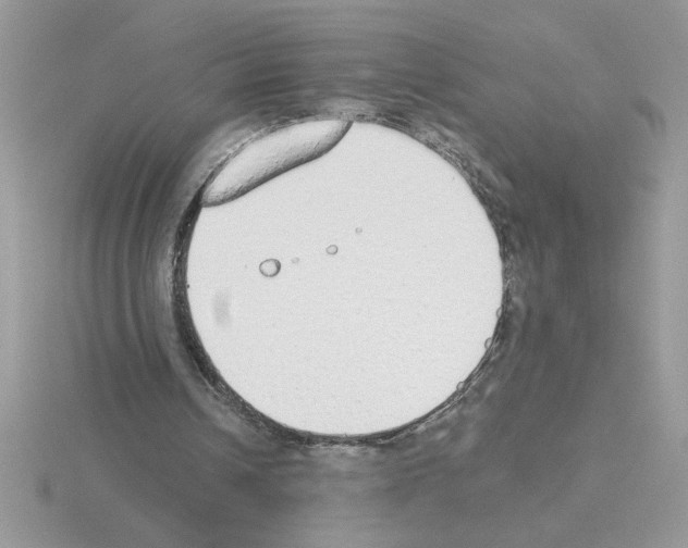 X0000115420242200912151609