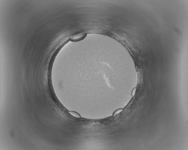 X0000115420243200912151609
