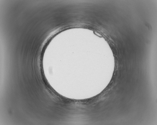 X0000115420244200912151609
