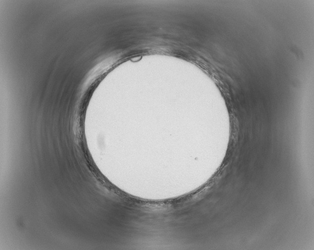 X0000115420245200912151609