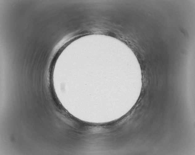 X0000115420246200912151609