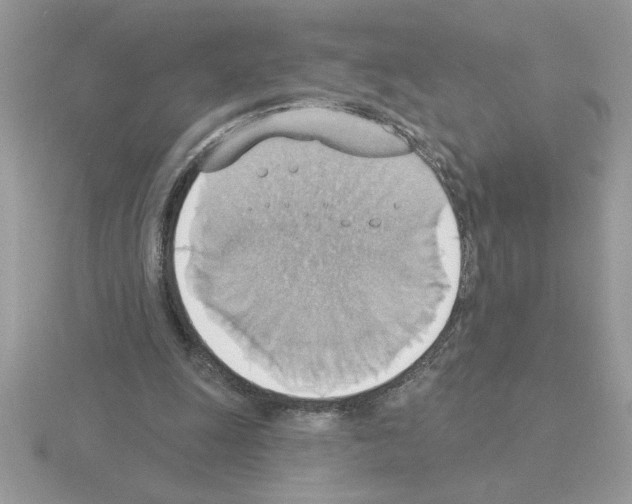 X0000115420247200912151609