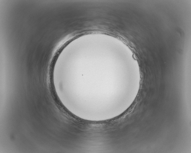 X0000115420248200912151609