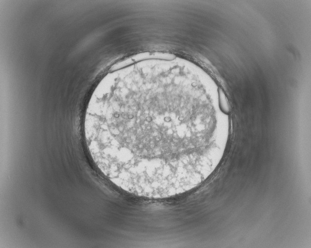 X0000115420249200912151609