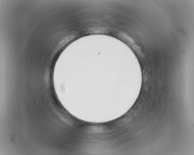 X0000115420250200912151609