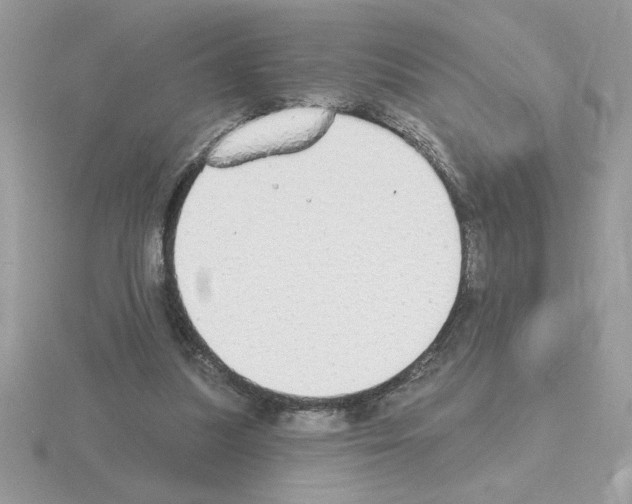 X0000115420251200912151609