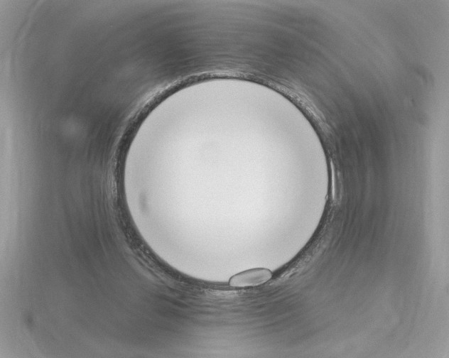 X0000115420252200912151609
