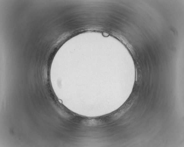 X0000115420253200912151609