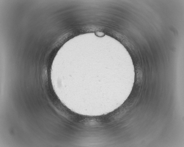 X0000115420254200912151609