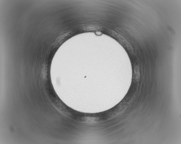 X0000115420255200912151609