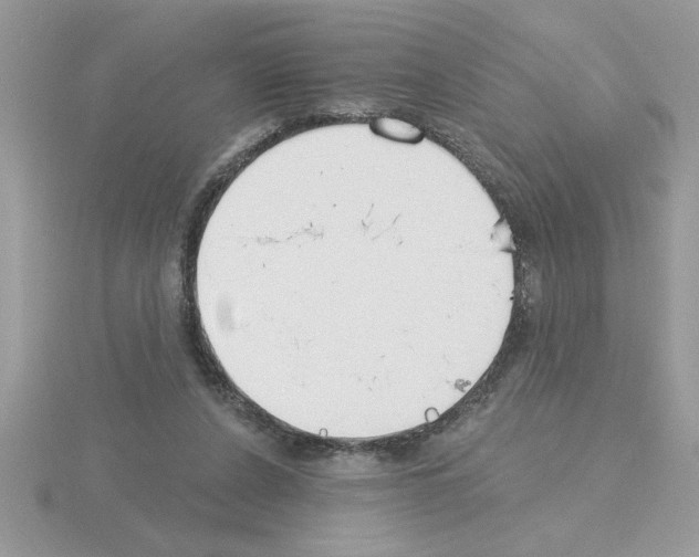 X0000115420256200912151609