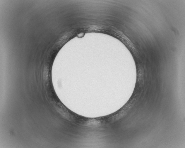 X0000115420257200912151609