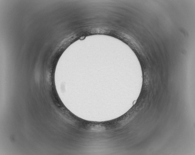 X0000115420258200912151609