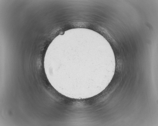 X0000115420259200912151609
