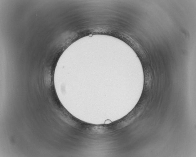 X0000115420261200912151609