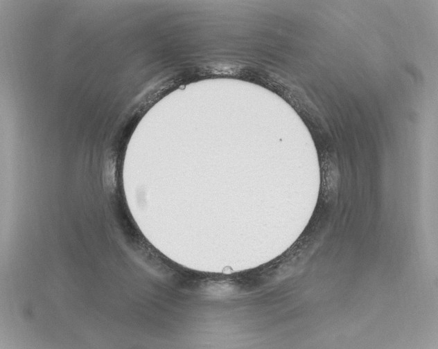X0000115420262200912151609