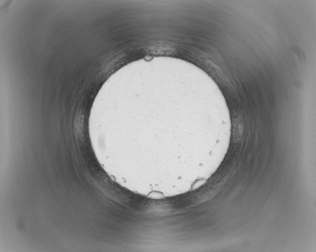X0000115420263200912151609