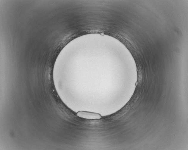 X0000115420264200912151609