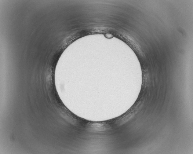 X0000115420265200912151609