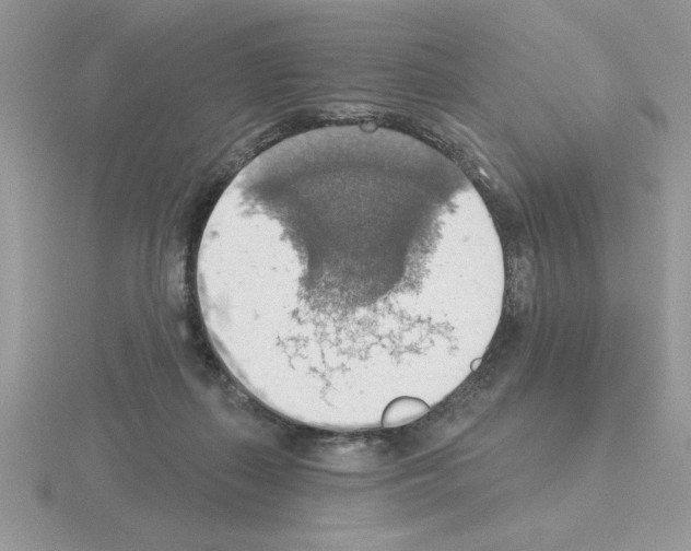 X0000115420267200912151609