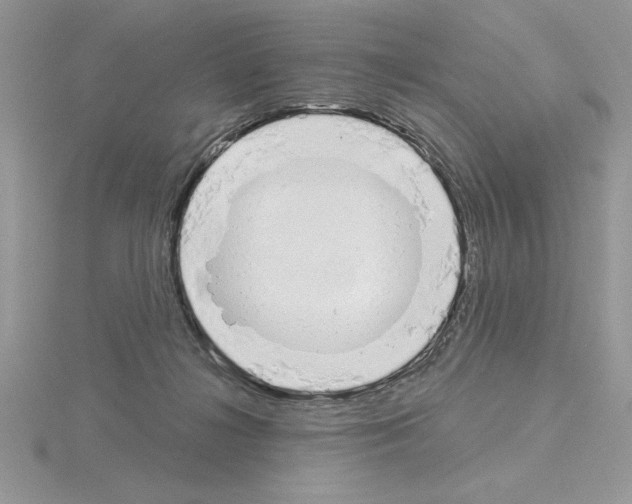 X0000115420268200912151609