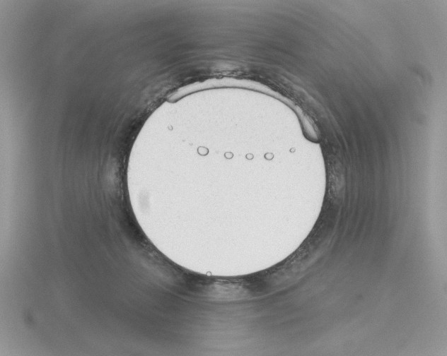 X0000115420270200912151609