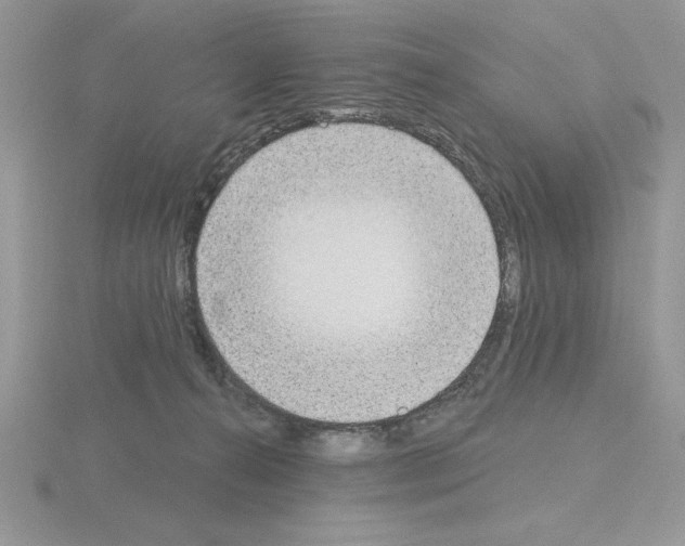 X0000115420272200912151609