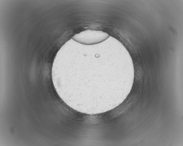X0000115420273200912151609