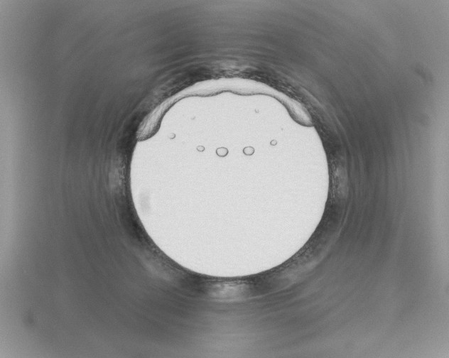 X0000115420274200912151609