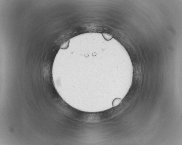 X0000115420275200912151609