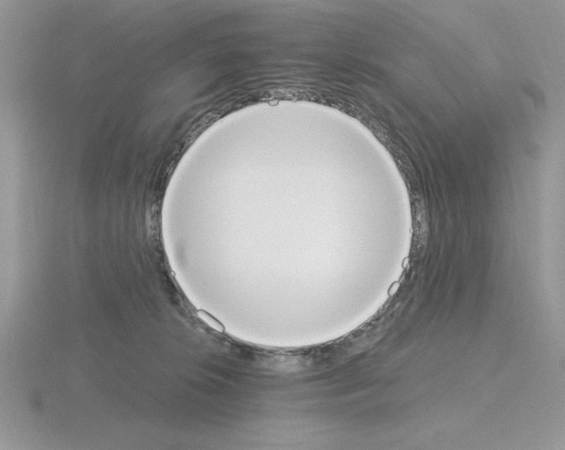 X0000115420276200912151609
