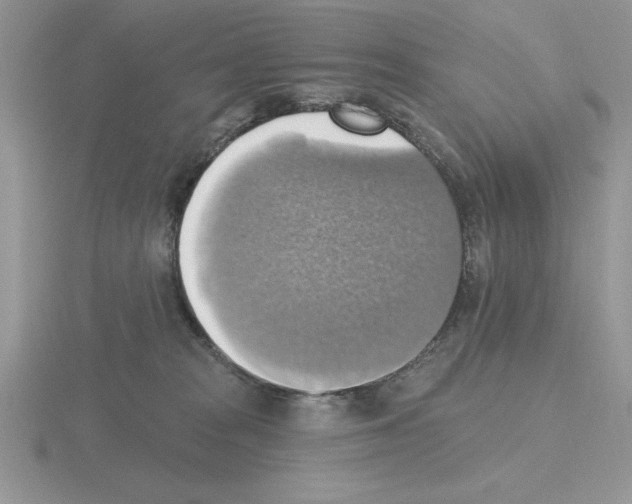 X0000115420277200912151609