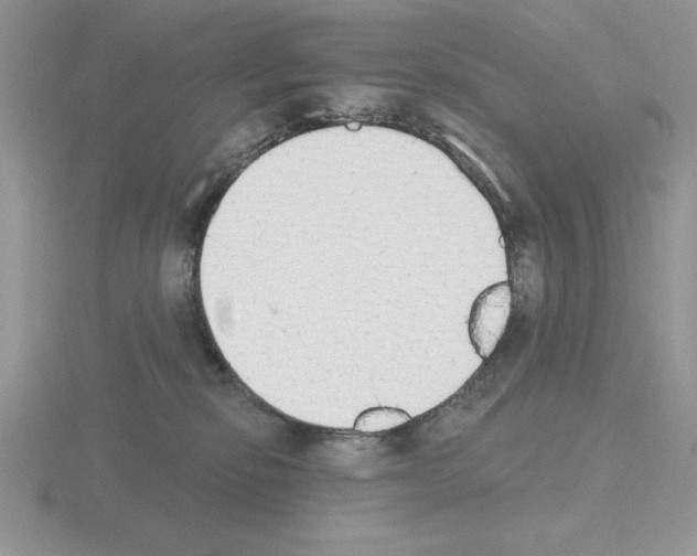 X0000115420278200912151609