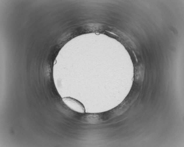X0000115420279200912151609