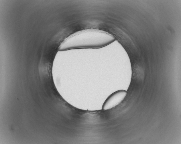 X0000115420280200912151609