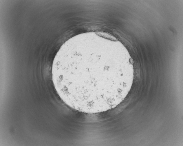 X0000115420281200912151609