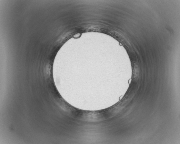 X0000115420282200912151609