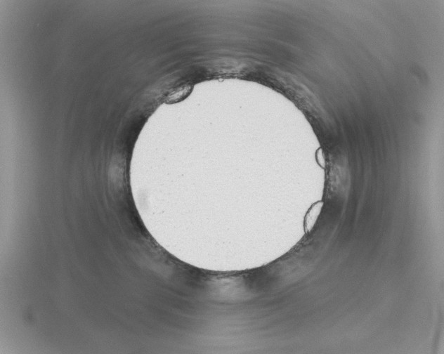X0000115420283200912151610