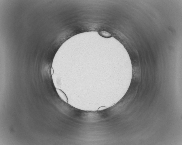 X0000115420286200912151610
