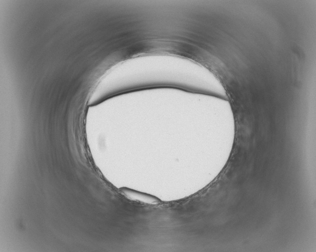 X0000115420289200912151609