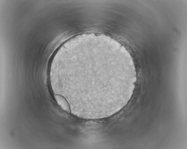 X0000115420290200912151609
