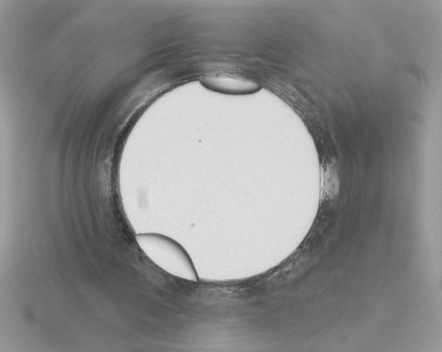X0000115420291200912151609