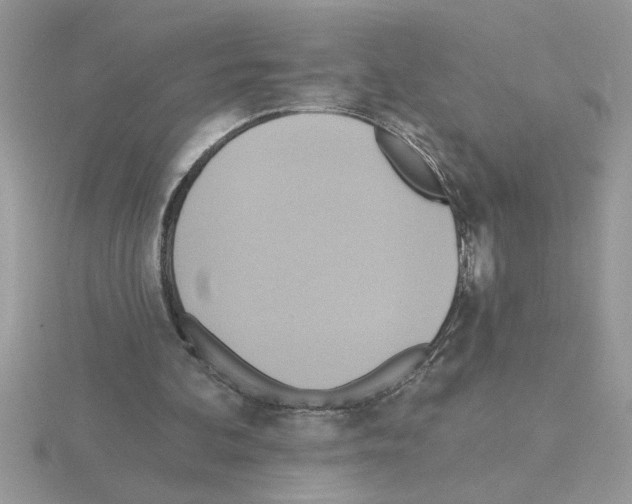 X0000115420292200912151609