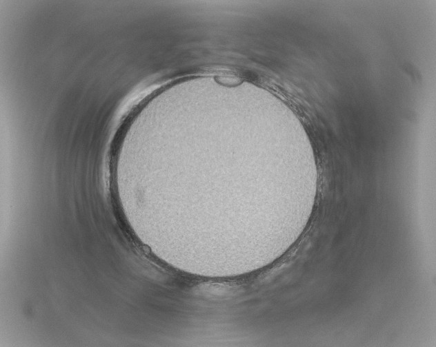 X0000115420294200912151609