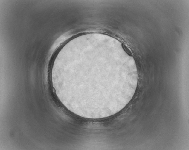 X0000115420296200912151609