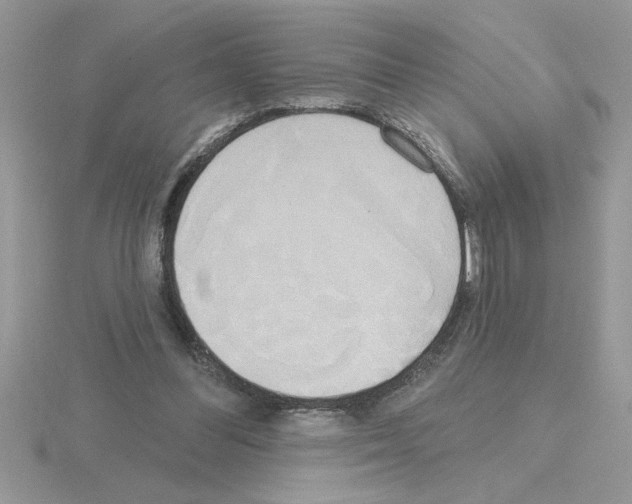 X0000115420300200912151609