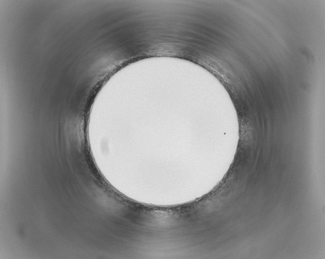 X0000115420302200912151609